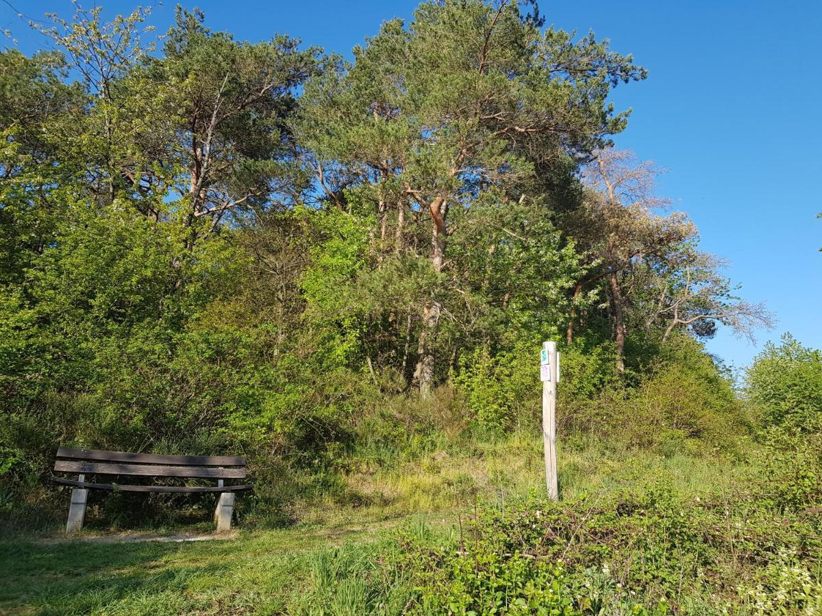 Ferienapartment Im Augustinus Park Trewir Zewnętrze zdjęcie