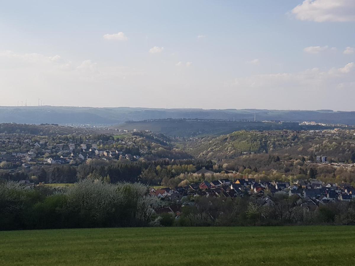 Ferienapartment Im Augustinus Park Trewir Zewnętrze zdjęcie