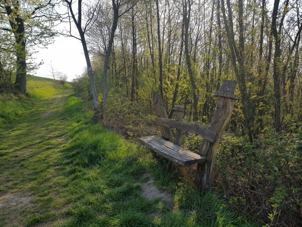 Ferienapartment Im Augustinus Park Trewir Zewnętrze zdjęcie